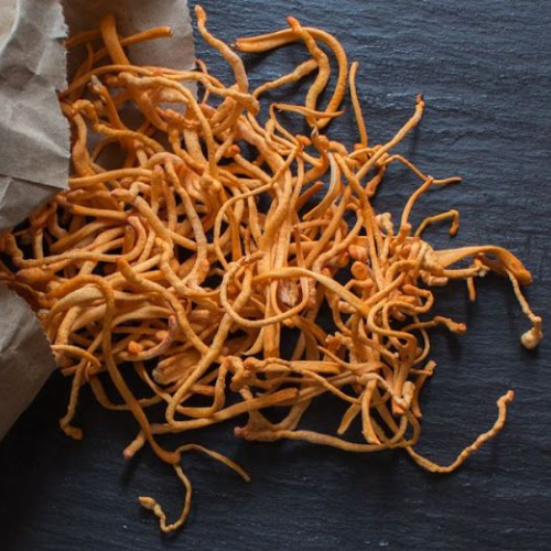 Những Câu Hỏi Thường Gặp Về Đông Trùng Hạ Thảo